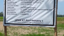Oplus_16908288