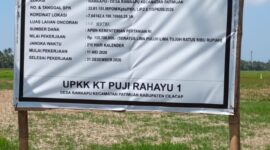 Oplus_16908288