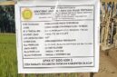 Oplus_16908288