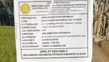 Oplus_16908288