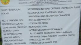 Oplus_16908288