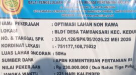 Oplus_16908288