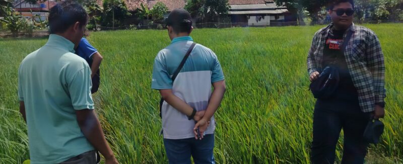 Oplus_16908288