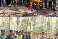 Oplus_16908288