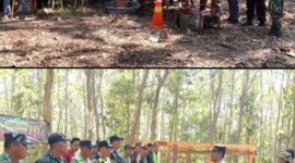 Oplus_16908288