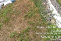 Oplus_16908288