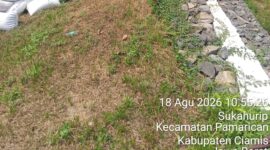 Oplus_16908288