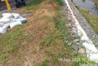 Oplus_16908288