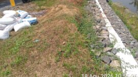 Oplus_16908288